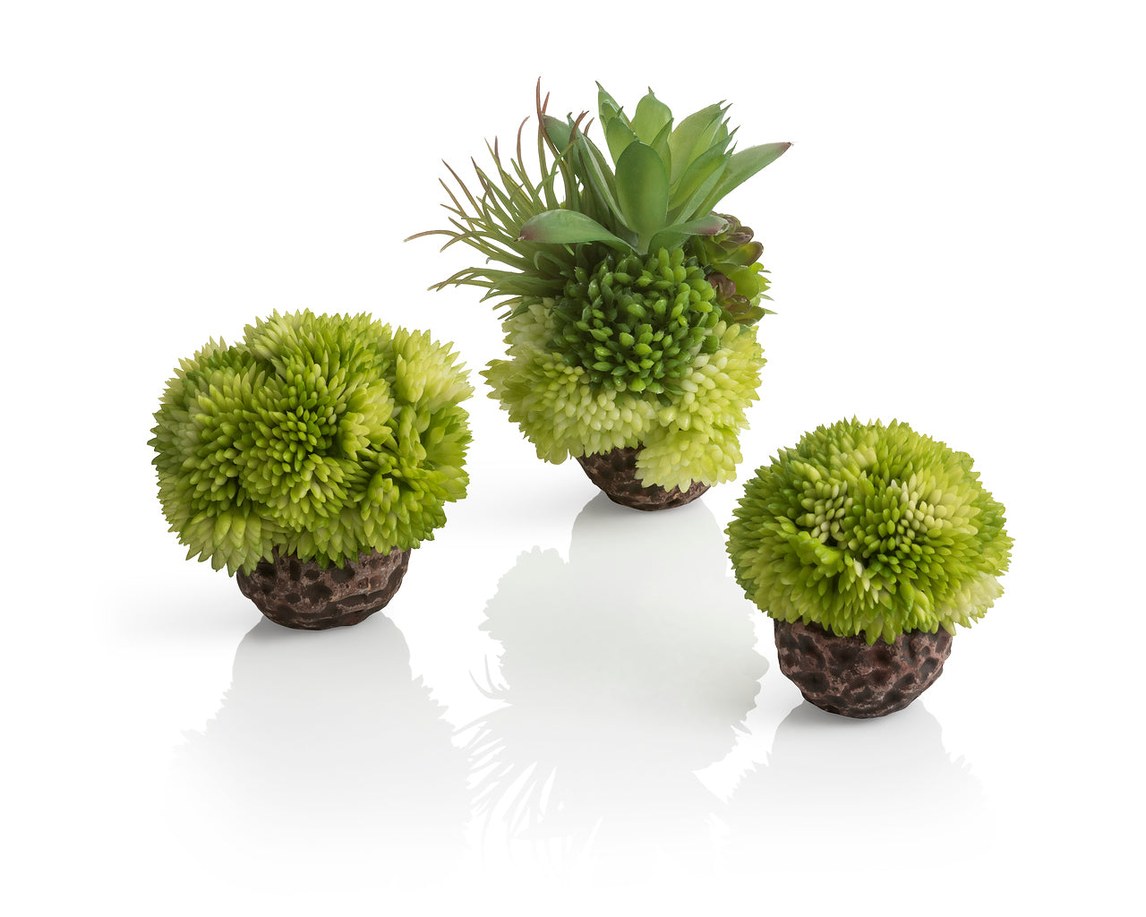 biorb-korallenball-set-gr-n-deko-ornament-8x8x9-cm image 1