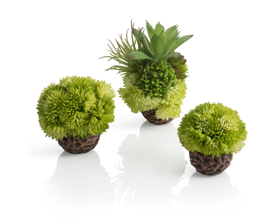 biorb-korallenball-set-gr-n-deko-ornament-8x8x9-cm image 1