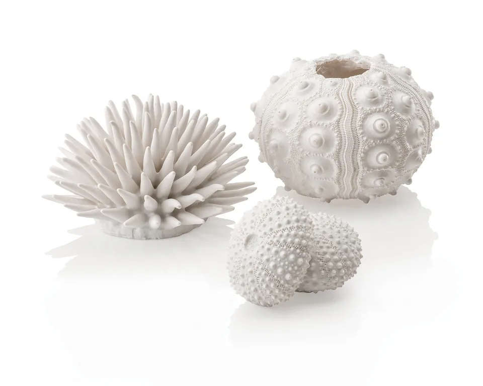 biorb-seeigel-set-wei-aquarium-deko-ornament image 1