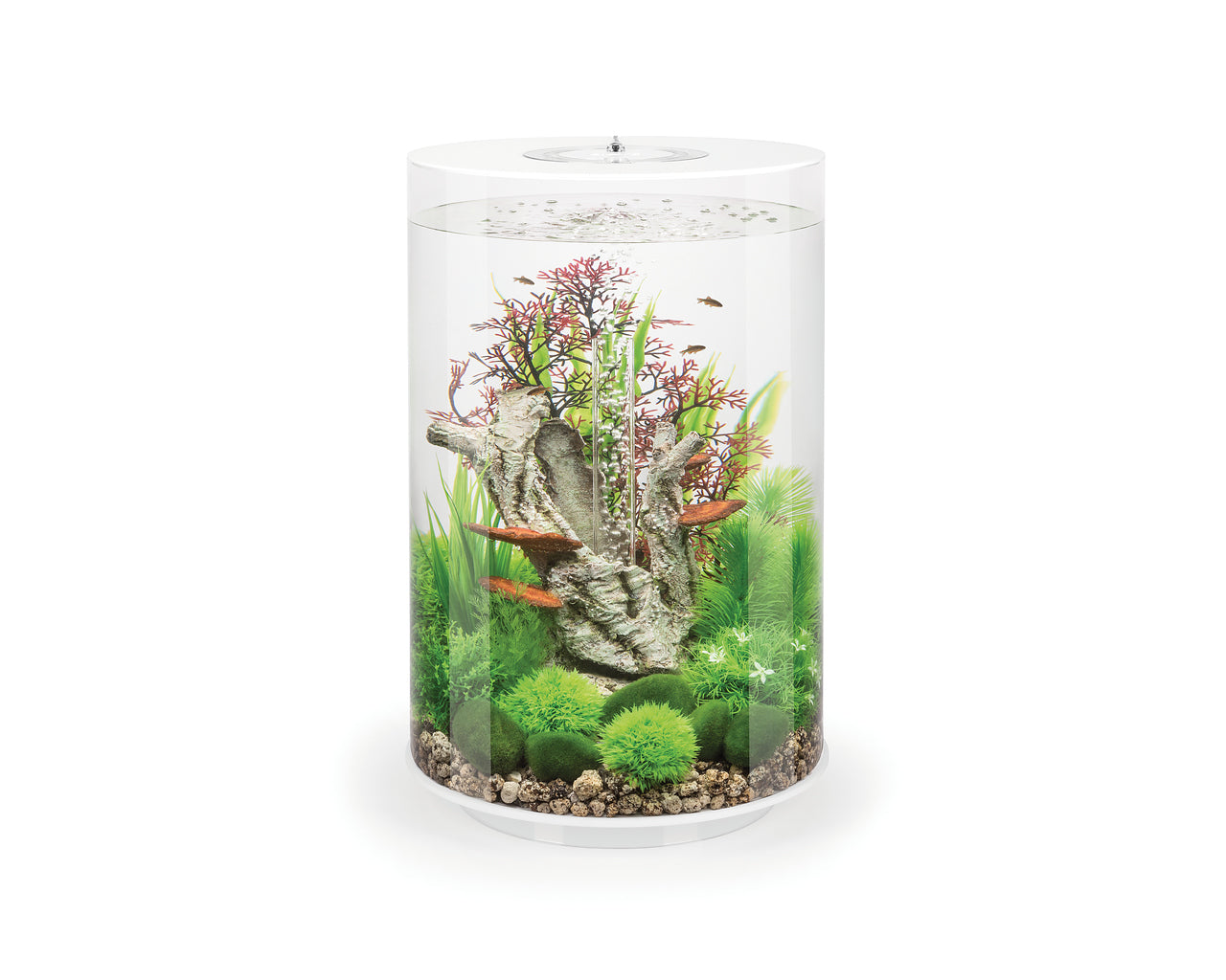 biorb-tube-30-led-komplettaquarium-30-liter-schwarz image 3