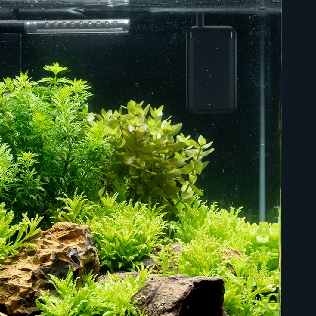 dennerle-nano-heater-constant-aquarium-heizer-25-c image 7