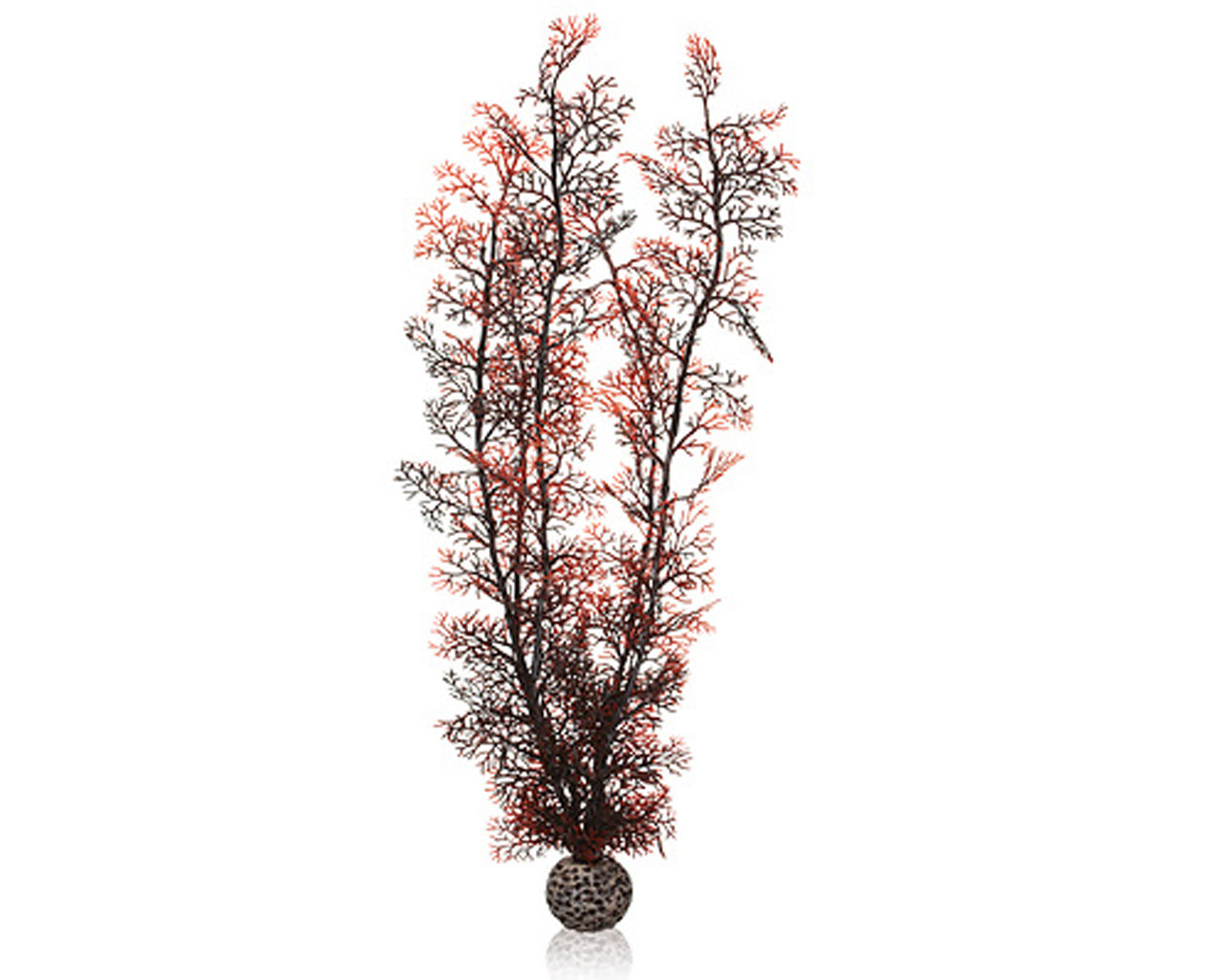 biorb-hornkorallen-xl-dunkelrot-f-r-life-45-60-classic-105 image 1