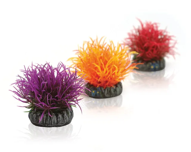 biorb-gew-chsball-set-3-bunt-aquariendeko image 1
