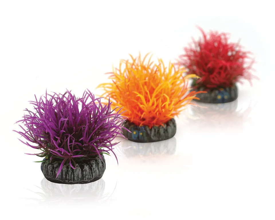 biorb-gew-chsball-set-3-bunt-aquariendeko image 1