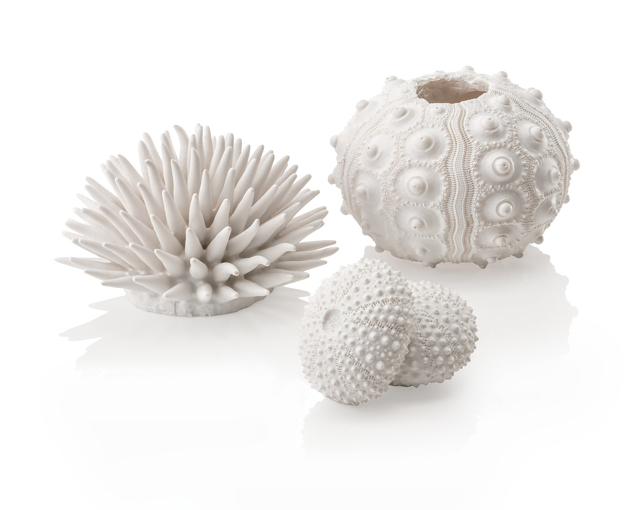 biorb-seeigel-set-wei-aquarium-deko-ornament image 1