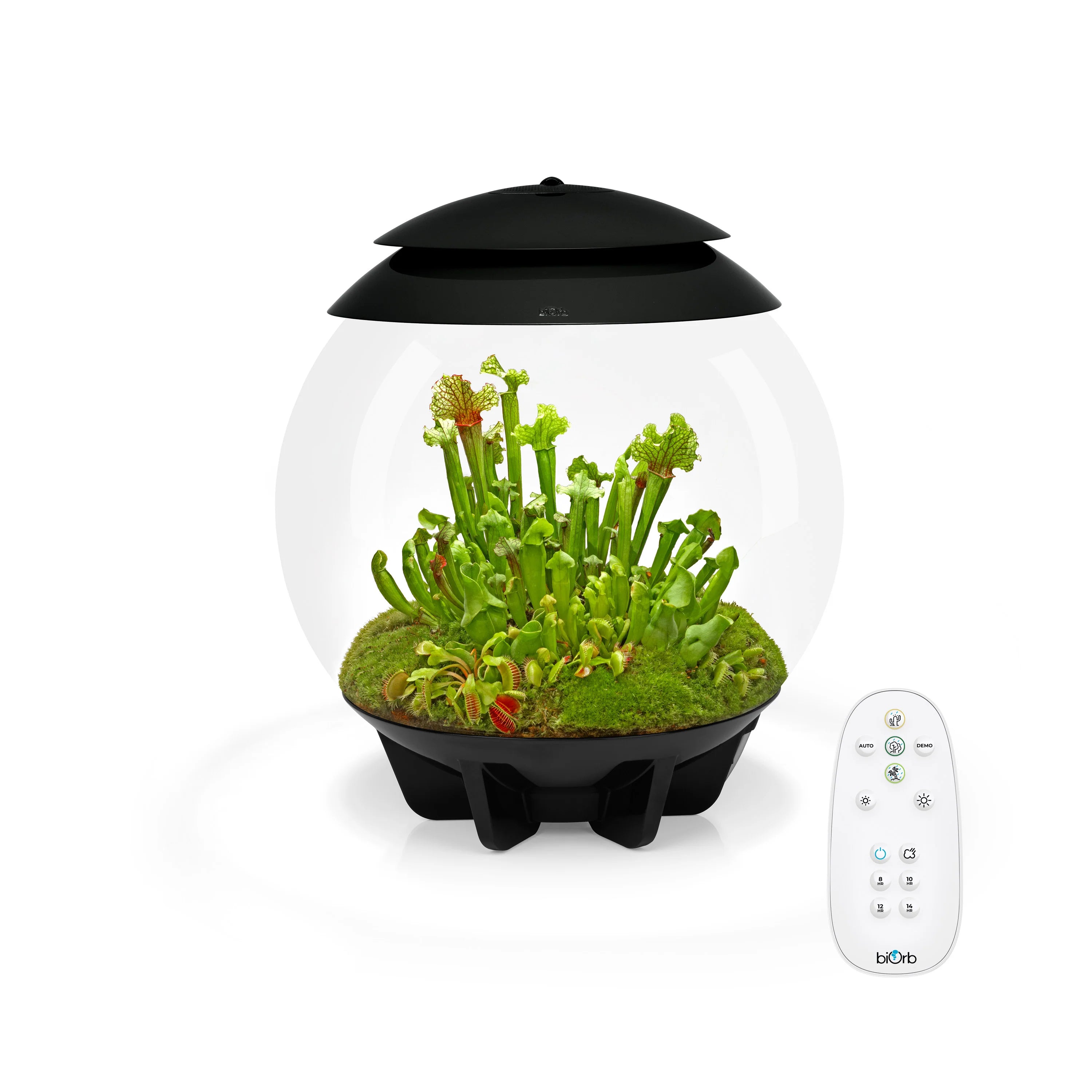 biorb-air-30-automatisiertes-terrarium-30-liter image 4