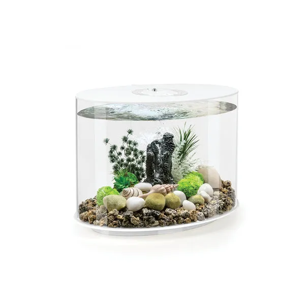 biorb-loop-30-mcr-komplettaquarium-30-liter image 1