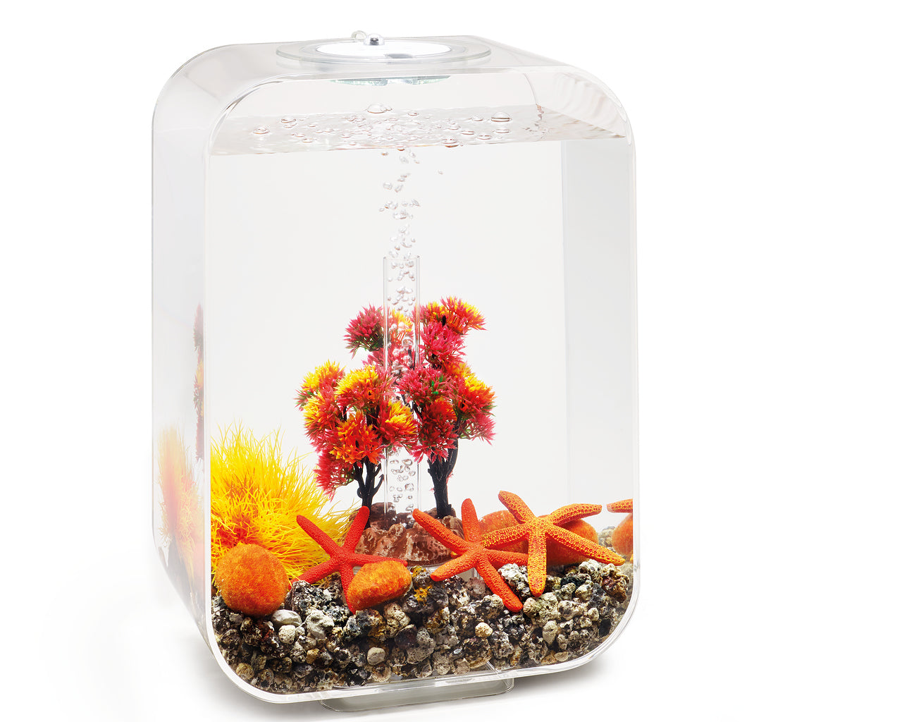 biorb-decor-set-15l-herbst-themen-deko-set image 3