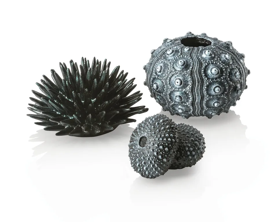 biorb-seeigel-set-schwarz-aquarium-deko-ornament image 1