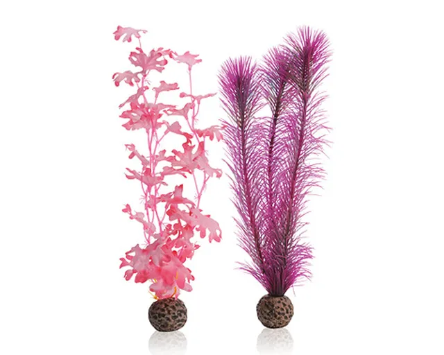biorb-seetang-set-m-pink-mittelgro-27-cm-aquarienpflanzen-set image 1