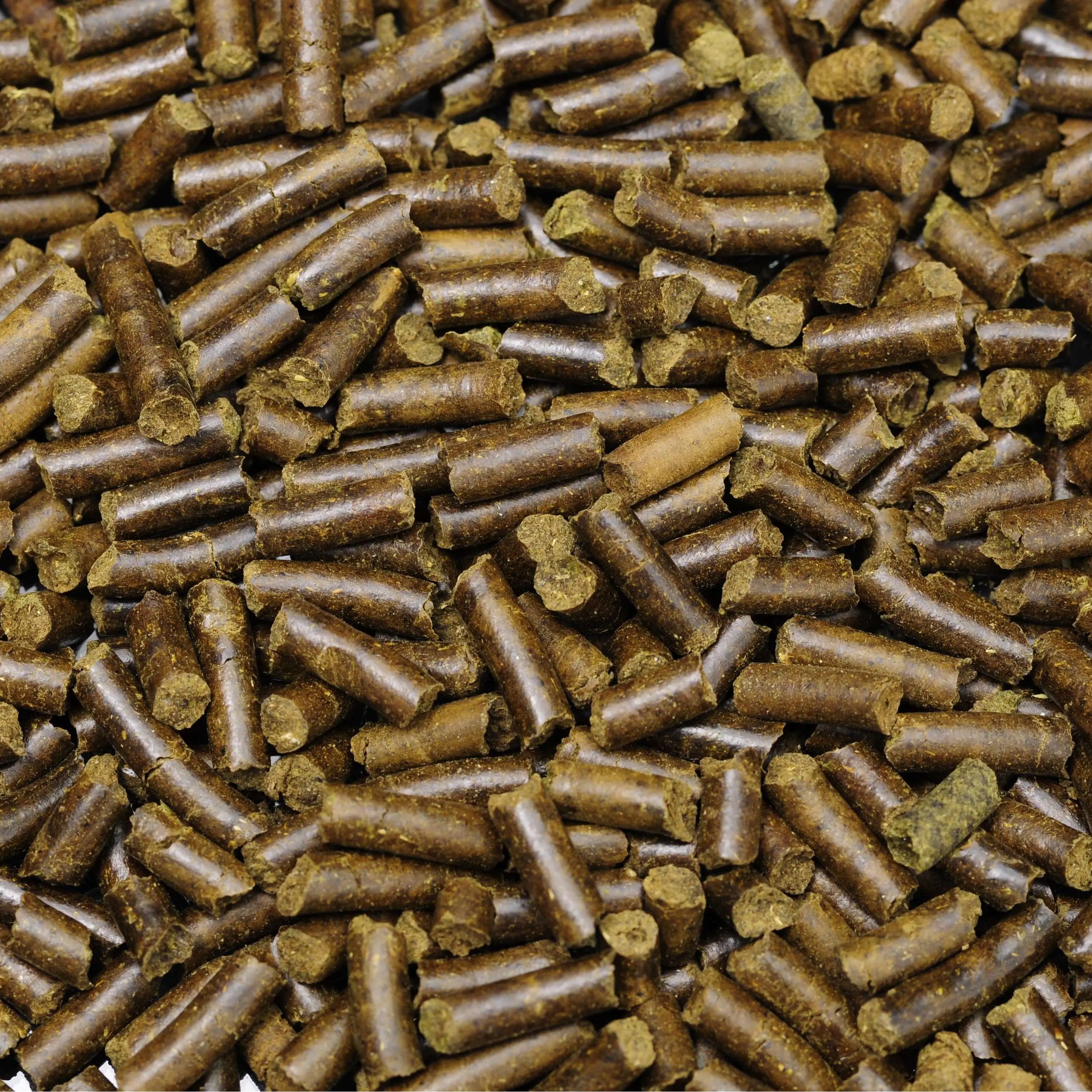 dennerle-shrimp-king-snailstixx-schnecken-hauptfutter-sticks image 2