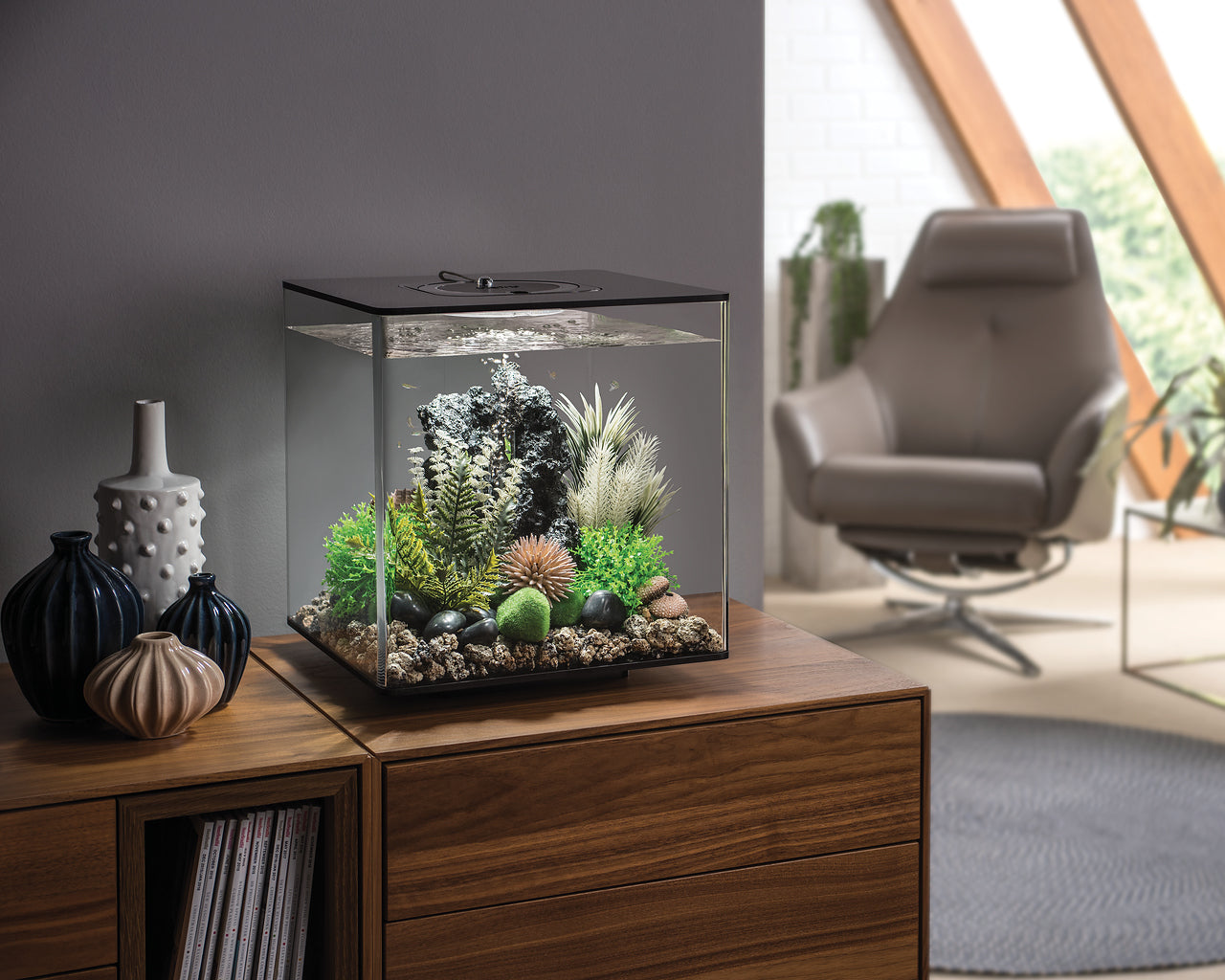 biorb-cube-30-led-design-komplettaquarium-30-l-mit-led-beleuchtung image 5