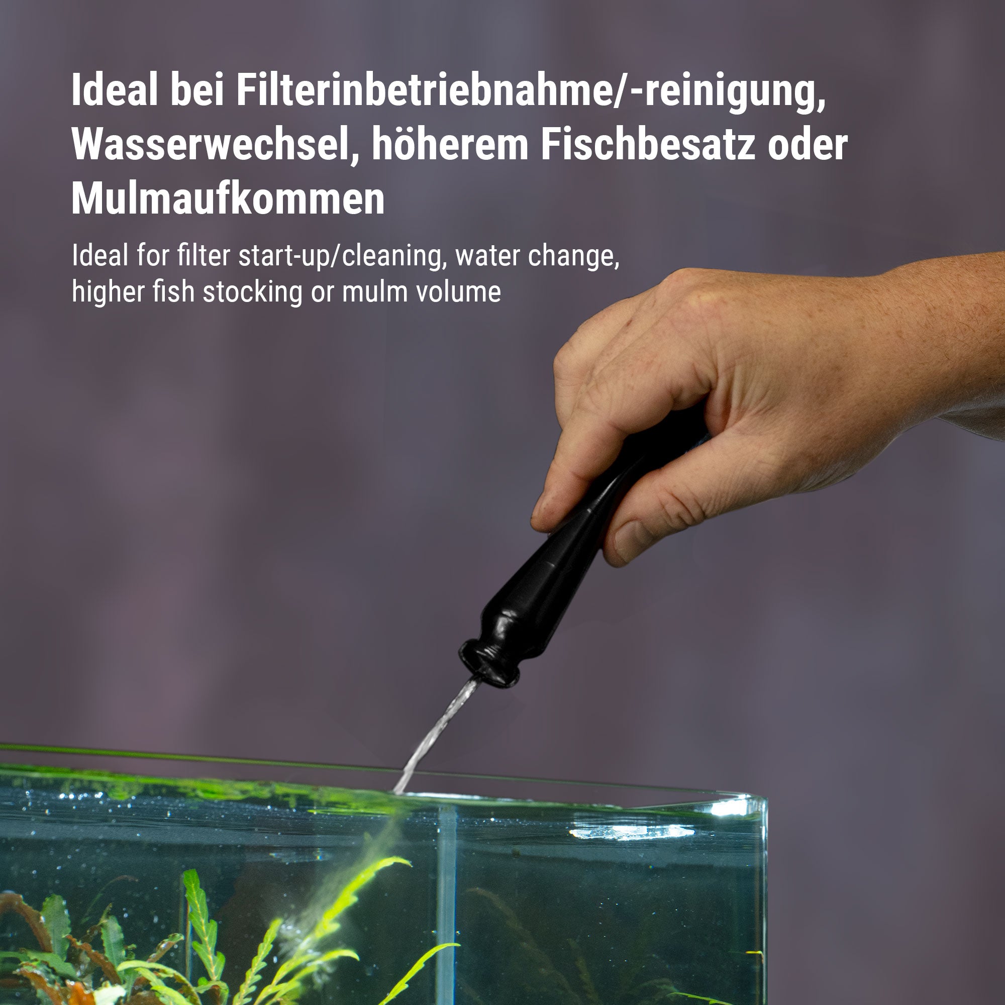 dennerle-bacto-elixir-bio-bakterien-f-r-aquarium-filterstart image 5