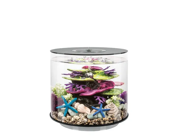 biorb-tube-15-mcr-design-komplettaquarium-15-liter image 1
