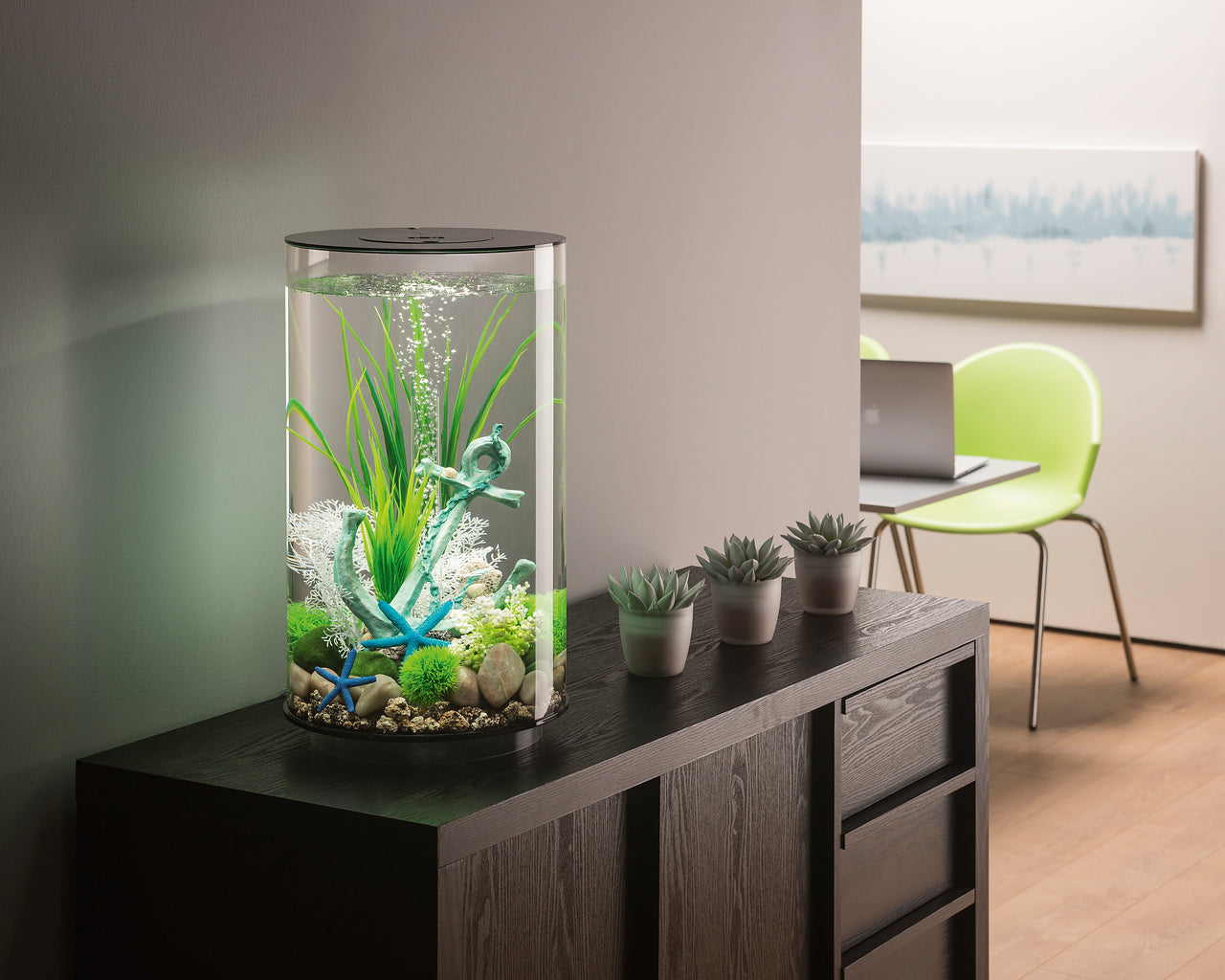 biorb-tube-30-mcr-design-komplettaquarium-mit-360-blick image 4
