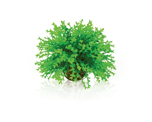 biorb-blumenball-gr-n-aquariendekoration image 1