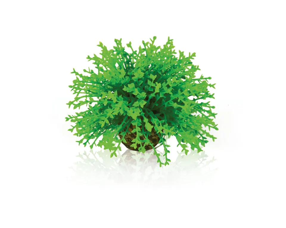 biorb-blumenball-gr-n-aquariendekoration image 1