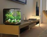 biorb-flow-15-led-komplettaquarium-15-liter-schwarz-wei image 8