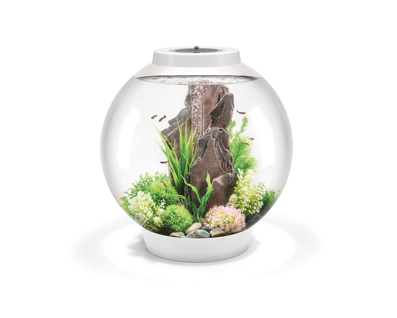 biorb-classic-60-led-kugel-design-komplettaquarium-60-liter image 4