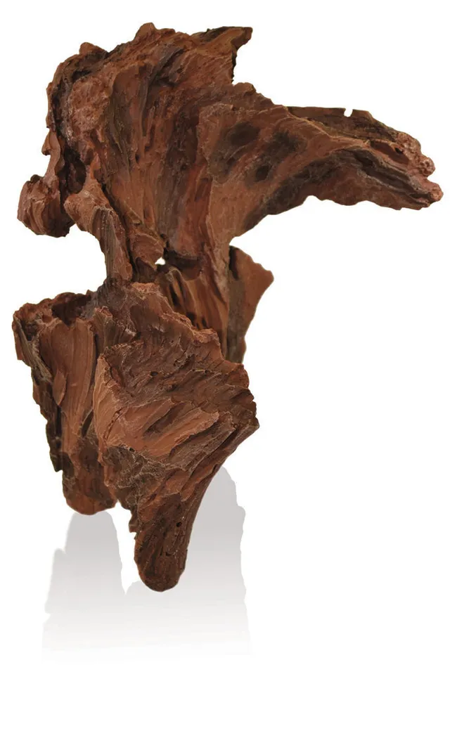 biorb-air-baumwurzel-ornament-19-6-x-15-3-x-22-5-cm image 1