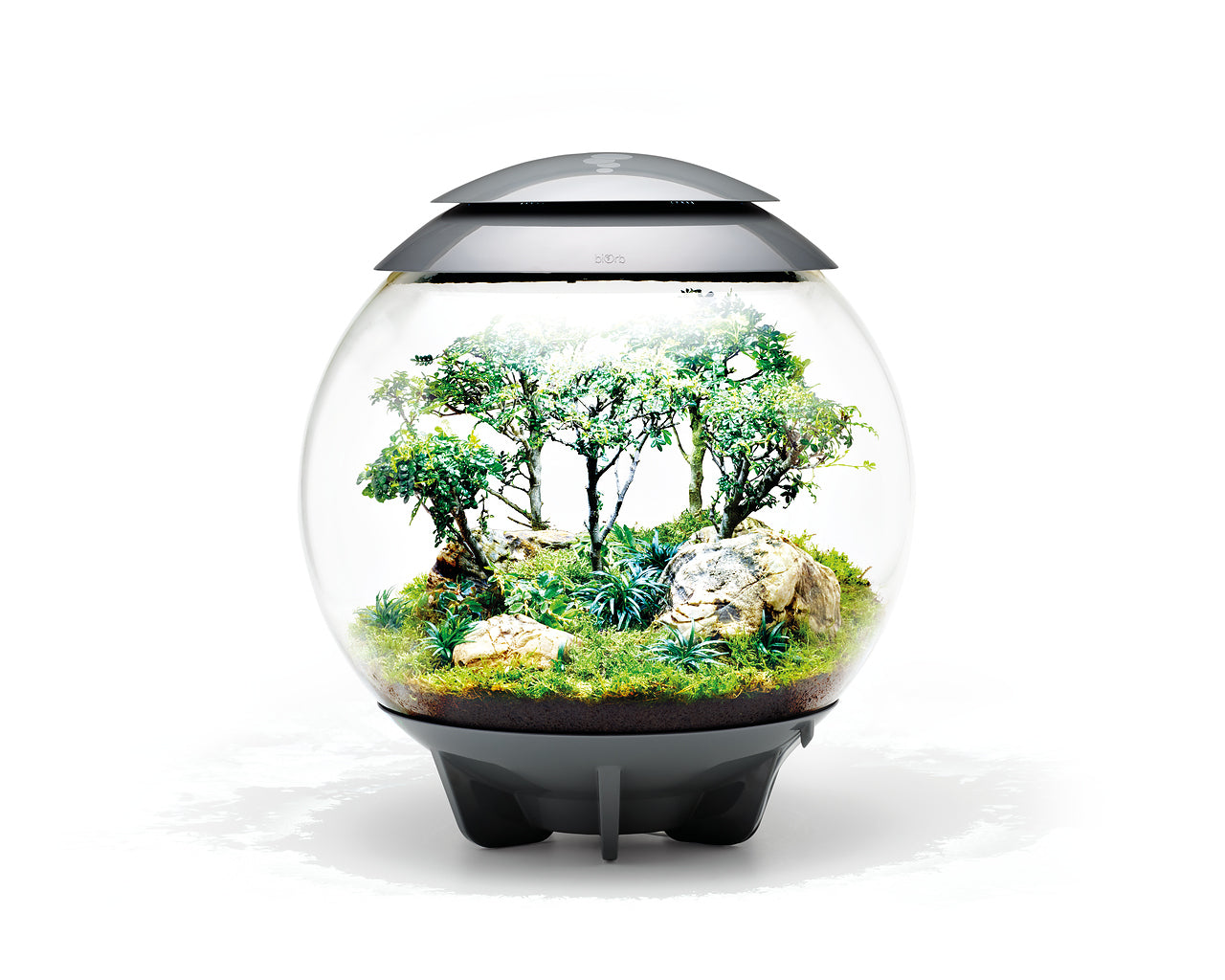 biorb-air-60-automatik-terrarium-60-liter-weiss-grau-schwarz image 3