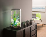 biorb-tube-30-mcr-design-komplettaquarium-mit-360-blick image 7