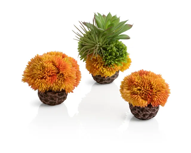 biorb-korallenball-set-orange-8x8x9-cm image 1