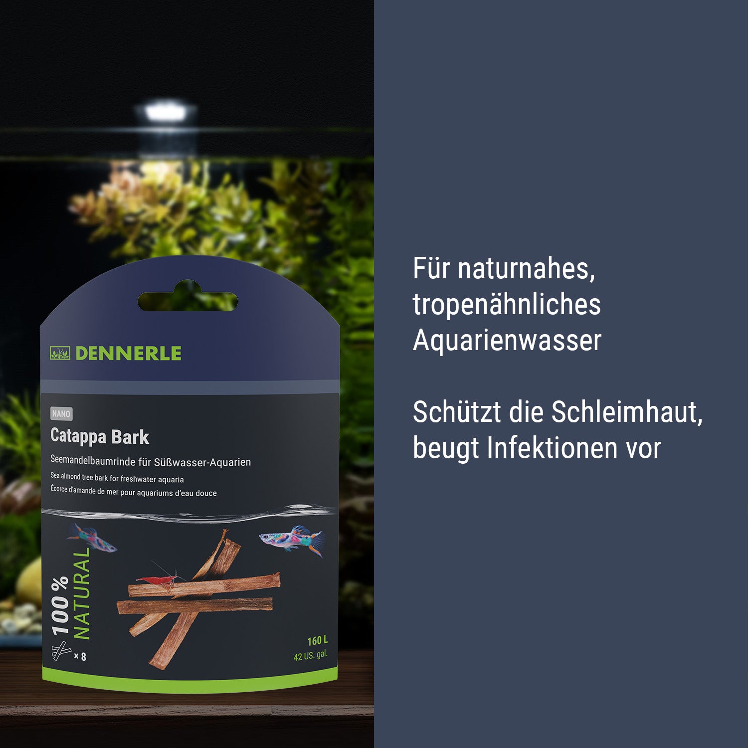 dennerle-nano-catappa-barks-seemandelbaumrinde-f-r-nano-aquarien image 5