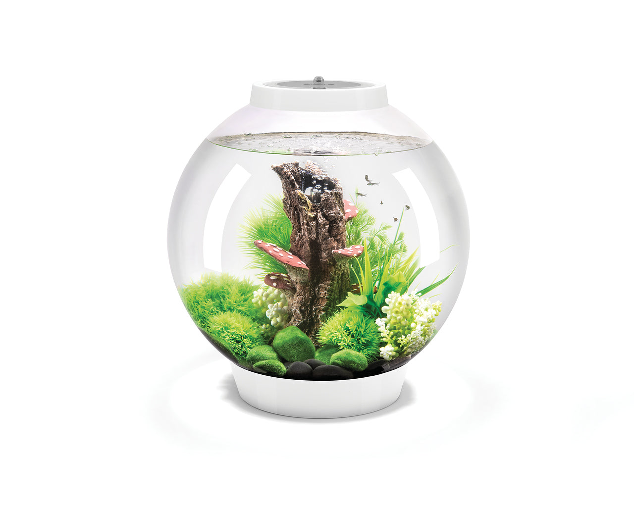 biorb-classic-30-led-kugel-aquarium-komplettset-30-liter image 4