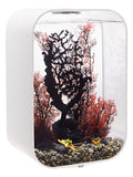 biorb-life-45-mcr-design-komplettaquarium-45-liter-schwarz-wei-transparent image 8