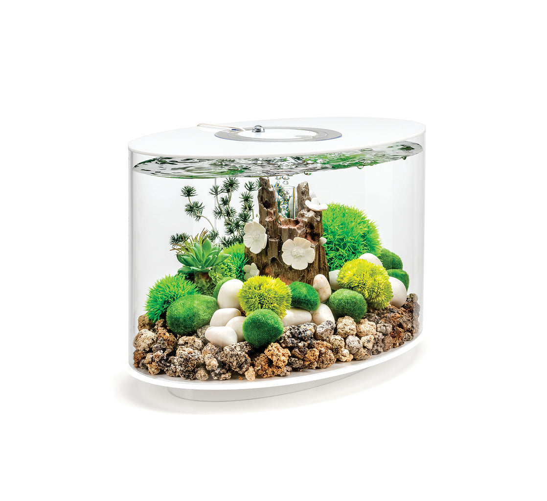 biorb-loop-15-mcr-design-komplettaquarium-15-liter-mit-farbsteuerung image 3