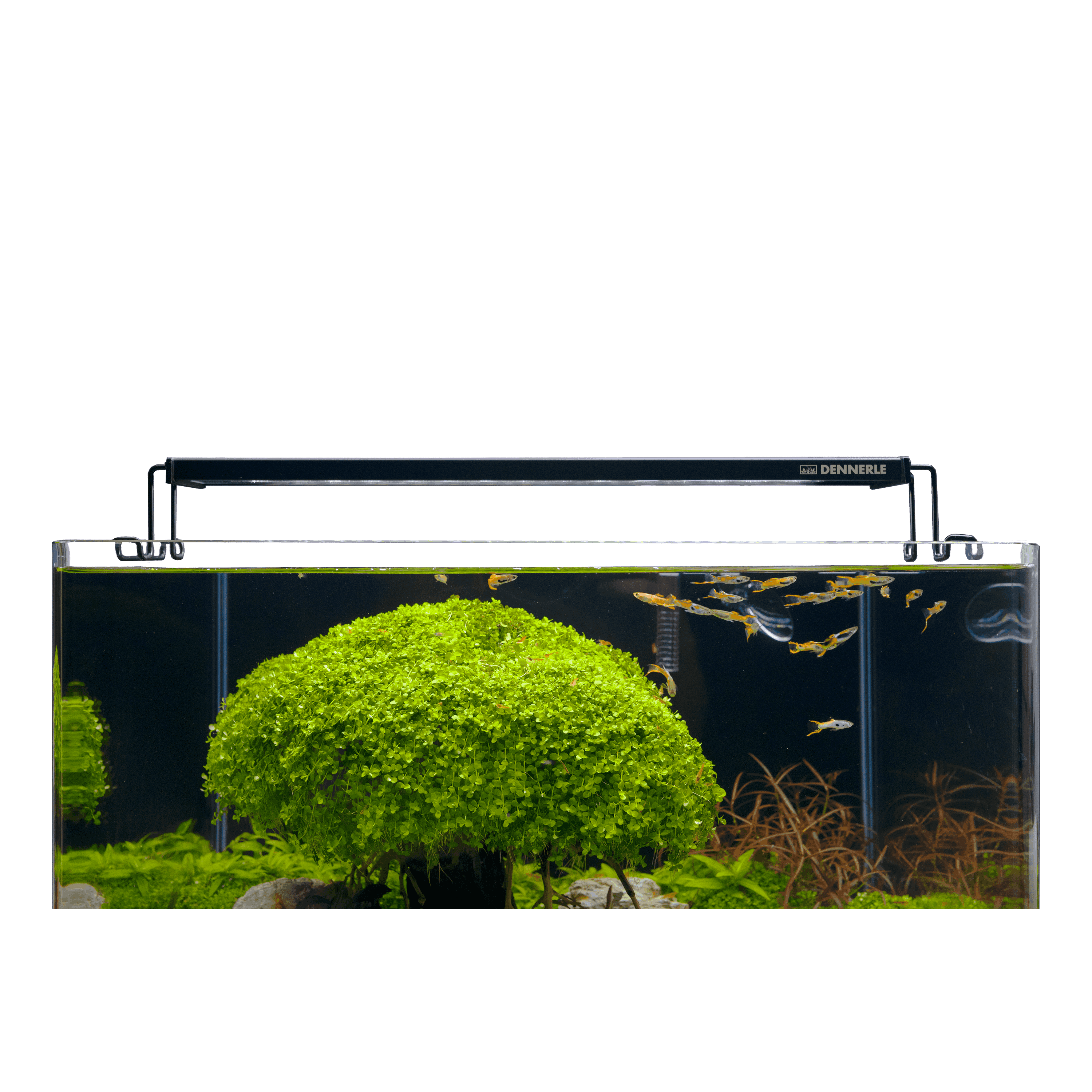 dennerle-trocal-flat-led-beleuchtung-f-r-nano-aquarien-40-45-cm image 2