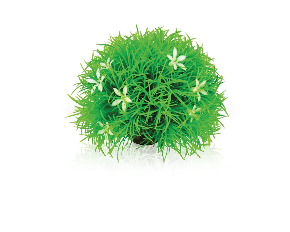 biorb-gew-chsball-g-nsebl-mchen-aquariendeko-11x11x9-cm image 1
