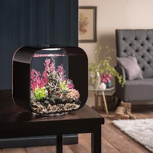 biorb-life-30-mcr-komplettaquarium-30-liter image 5