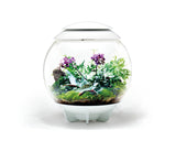 biorb-air-60-automatik-terrarium-60-liter-weiss-grau-schwarz image 5