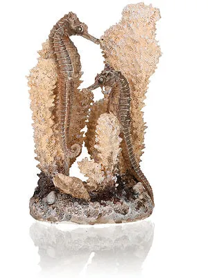 biorb-seepferdchen-natural-s-korallenriff-skulptur-ornament image 1