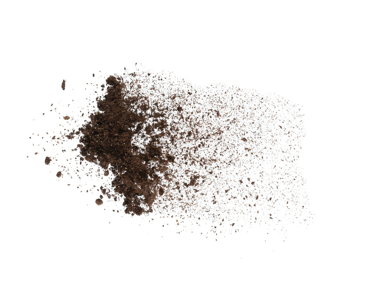 biorb-earth-dschungel-mix-terrarien-bodengrund-f-r-feuchte-umgebungen image 1