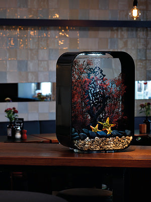 biorb-life-45-mcr-design-komplettaquarium-45-liter-schwarz-wei-transparent image 5