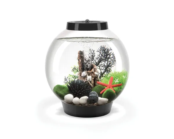biorb-classic-15-mcr-kugel-komplettaquarium-15-liter-30-cm image 1
