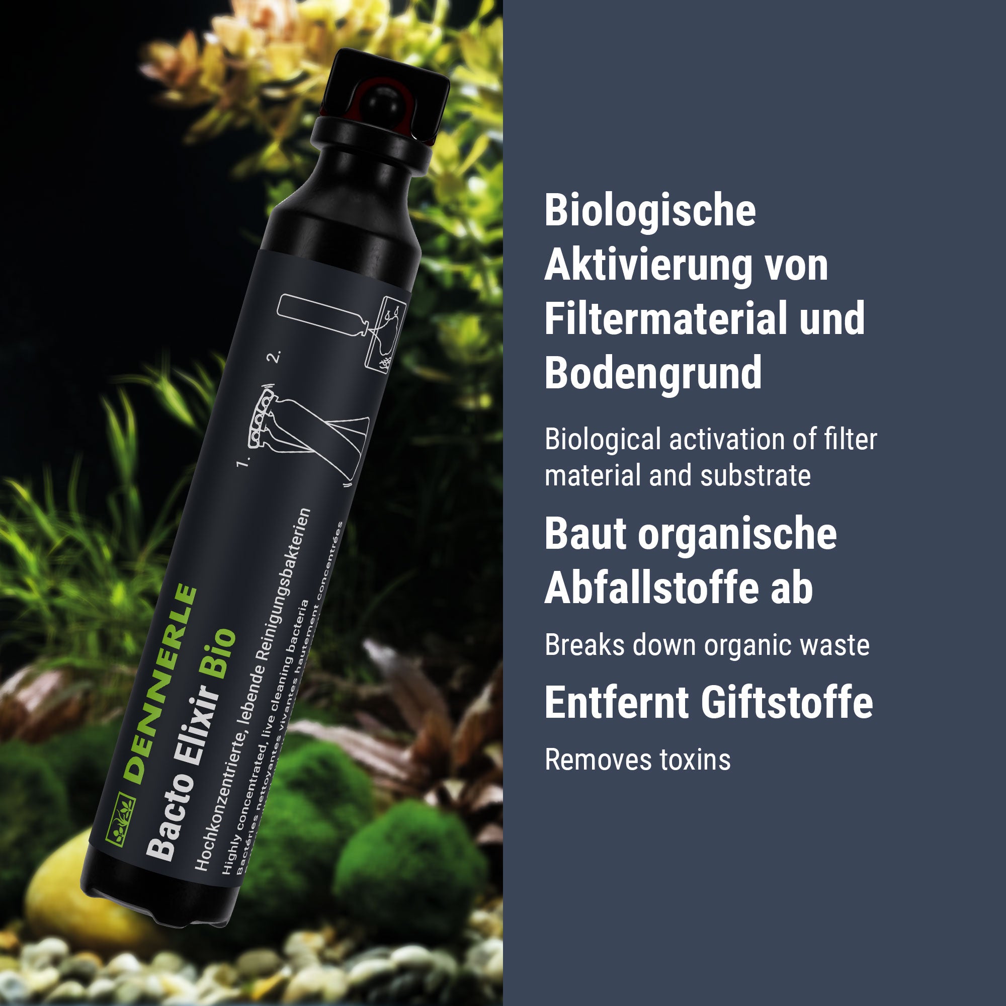 dennerle-bacto-elixir-bio-bakterien-f-r-aquarium-filterstart image 4