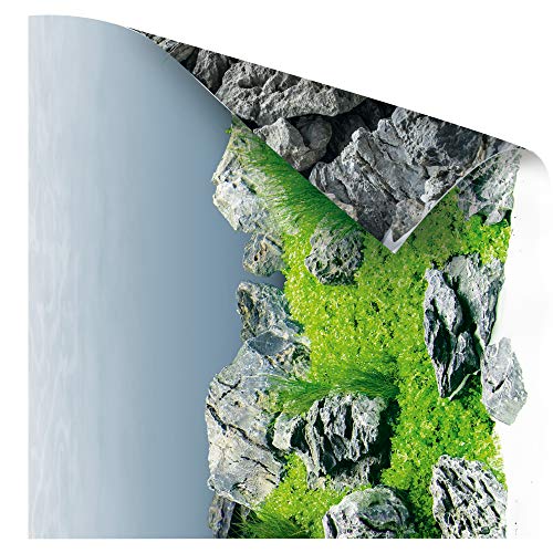 juwel-aquarium-poster-4-l-100-x-50-cm-doppelseitige-fotor-ckwand image 7