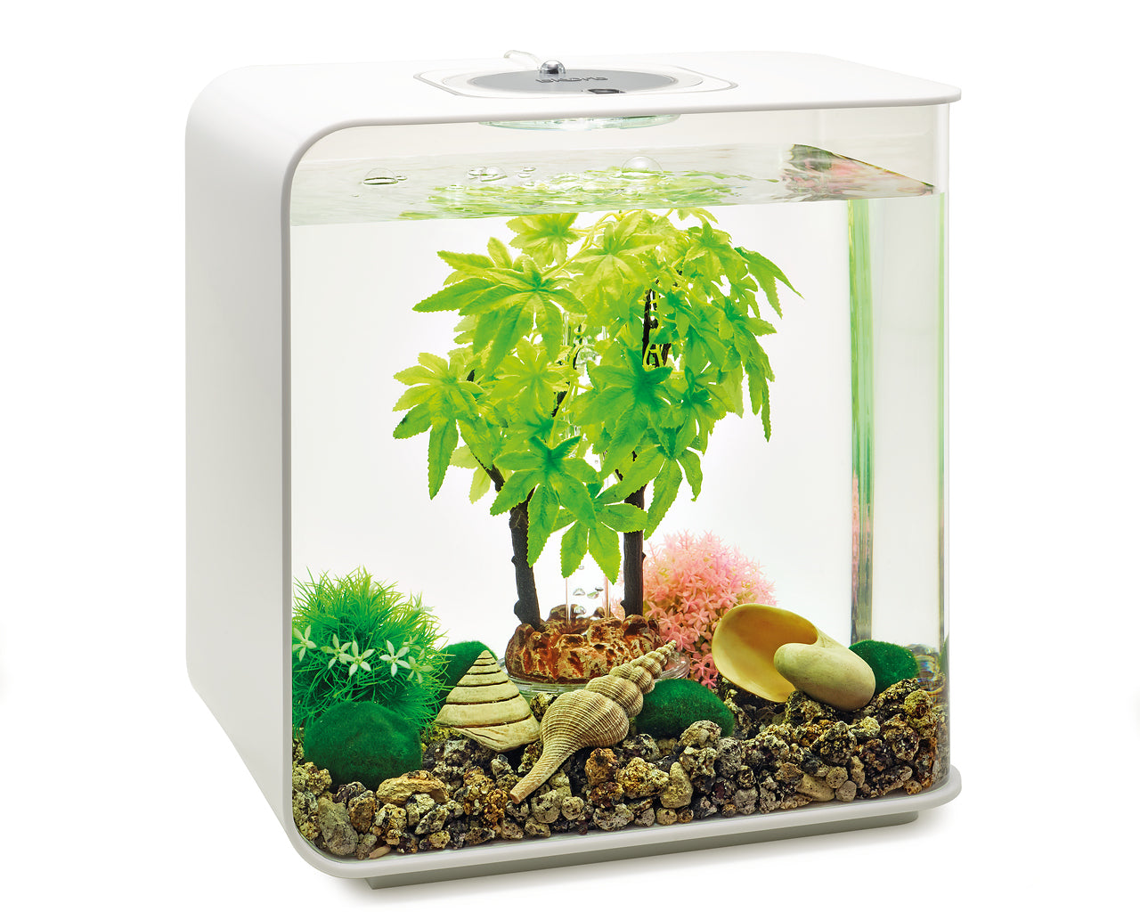 biorb-decor-set-30l-sommer-komplett-deko-set-f-r-30-l-aquarien image 2