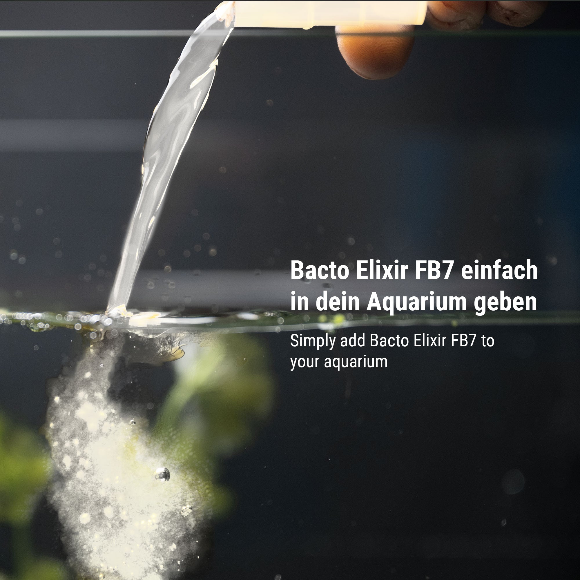 dennerle-bacto-elixir-fb7-wasserpflege-bakterienkultur image 6