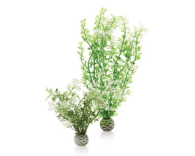 biorb-winterblume-set-2-winterblumen-pflanzen-deko-ab-30-liter image 1
