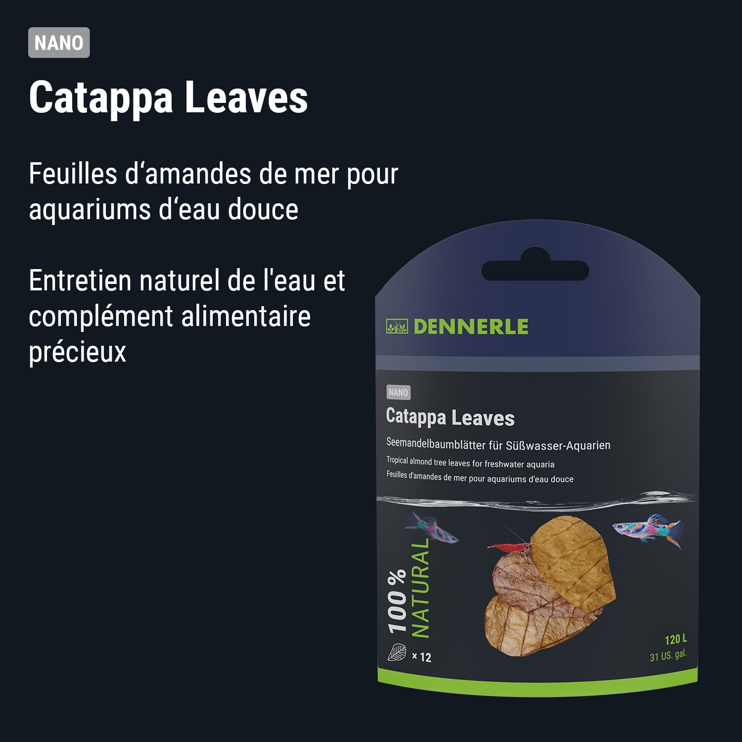 dennerle-catappa-leaves-seemandelbaumbl-tter-f-r-aquarium image 8