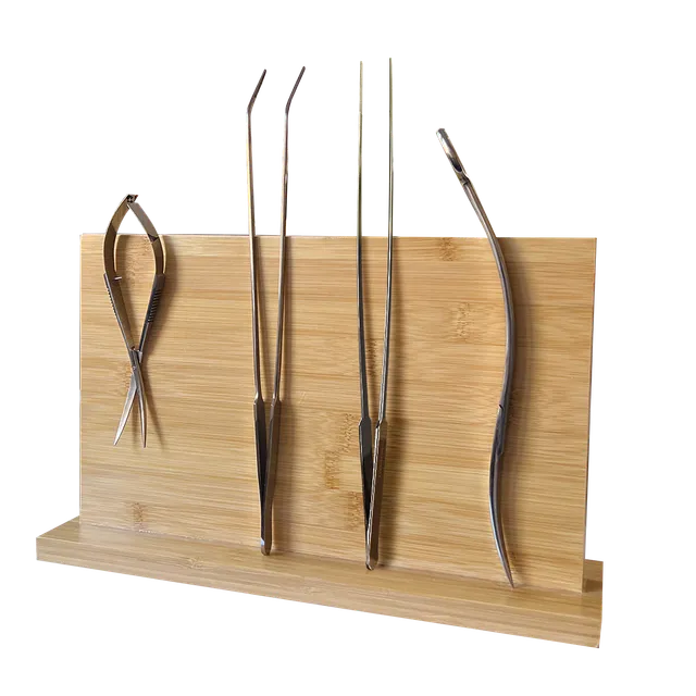 dennerle-aquascaping-tool-set-mit-magnetischem-holz-werkzeughalter-5-teilig image 1