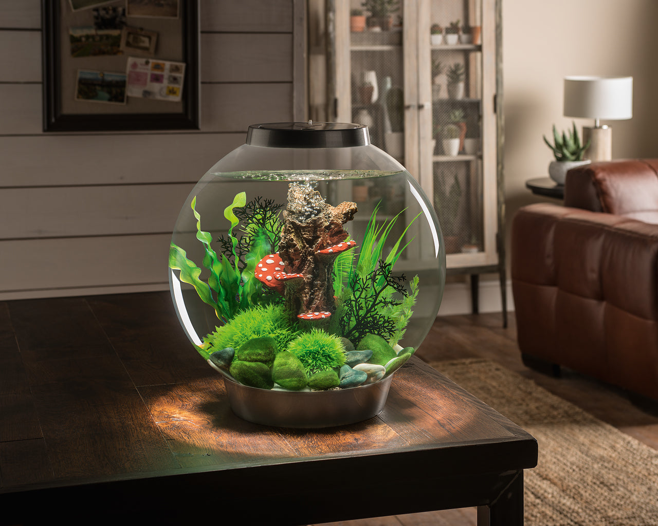 biorb-classic-30-led-kugel-aquarium-komplettset-30-liter image 5
