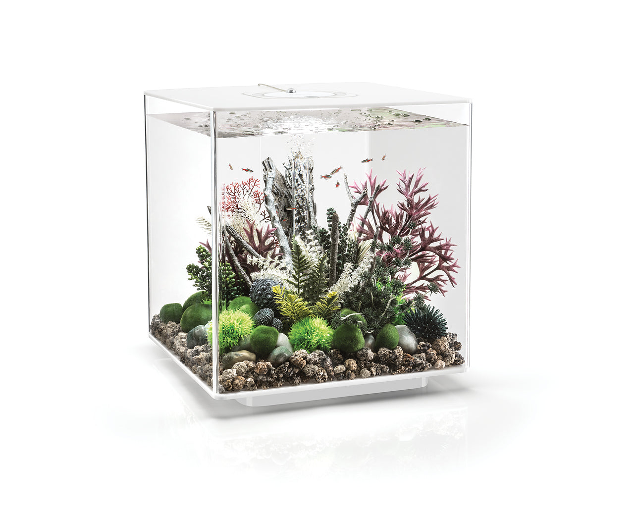 biorb-cube-60-led-design-komplettaquarium-60-liter image 4