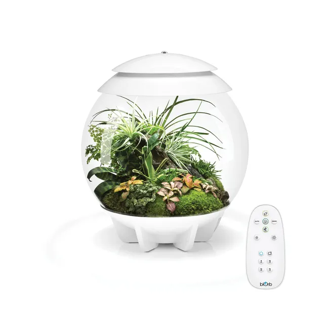 biorb-air-30-automatisiertes-terrarium-30-liter image 1