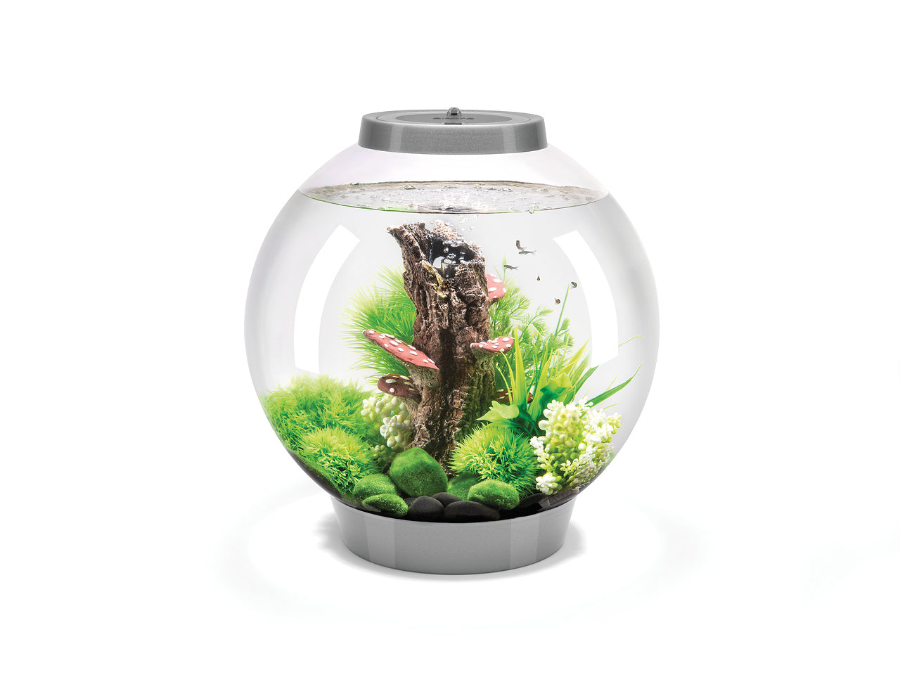 biorb-classic-30-led-kugel-aquarium-komplettset-30-liter image 3